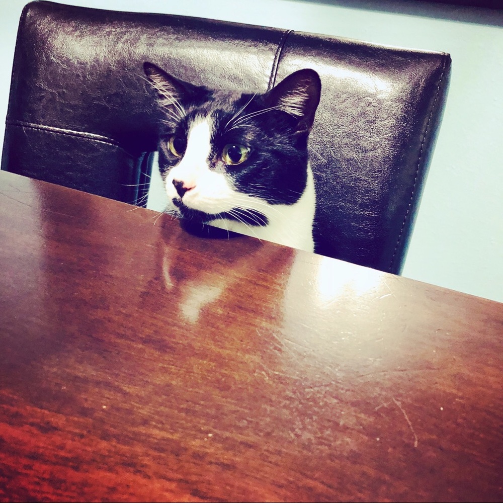 Meet your Posher, Jackie